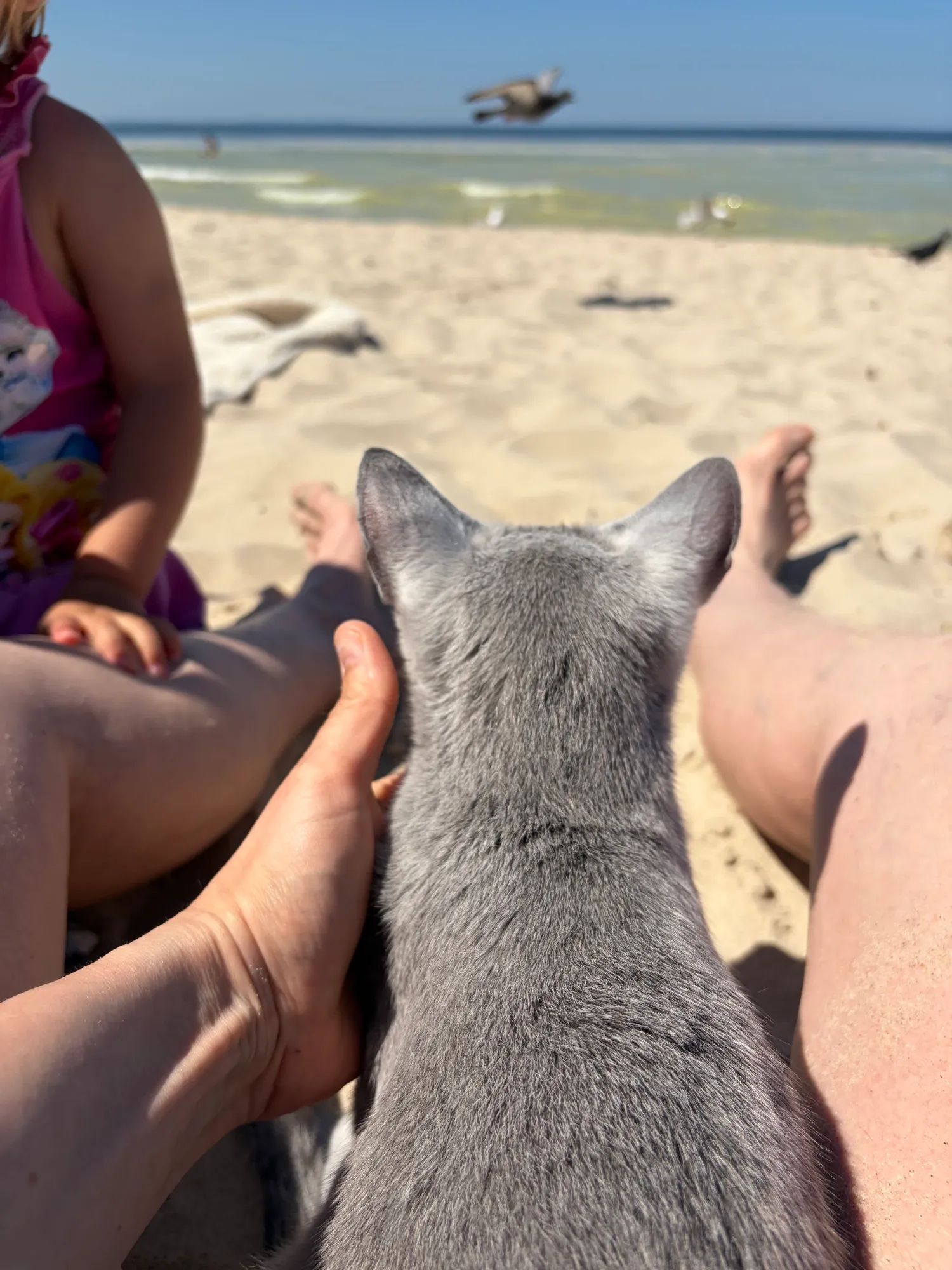 Sogar am Strand mit dabei