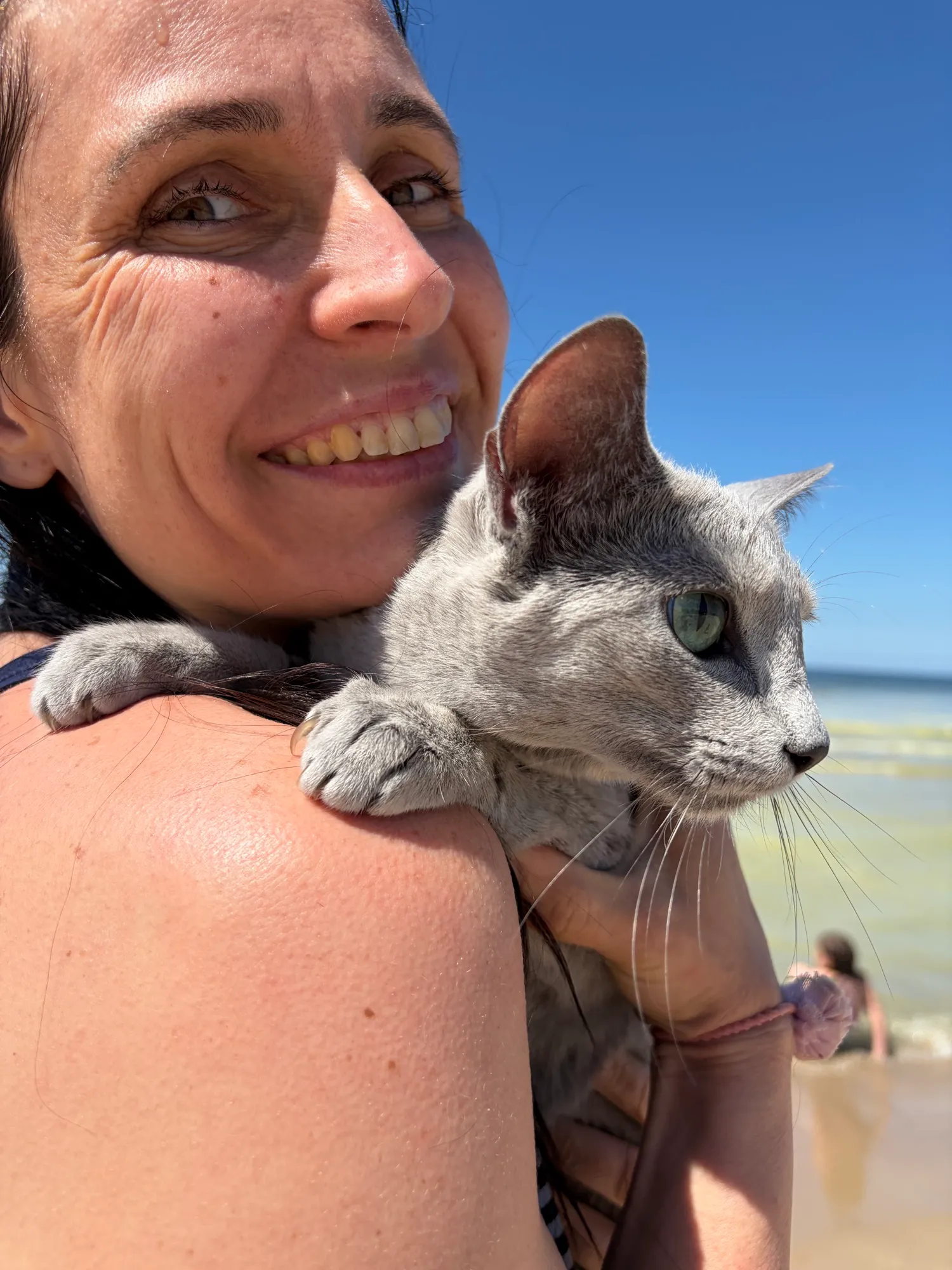 Strandtag mit Katze