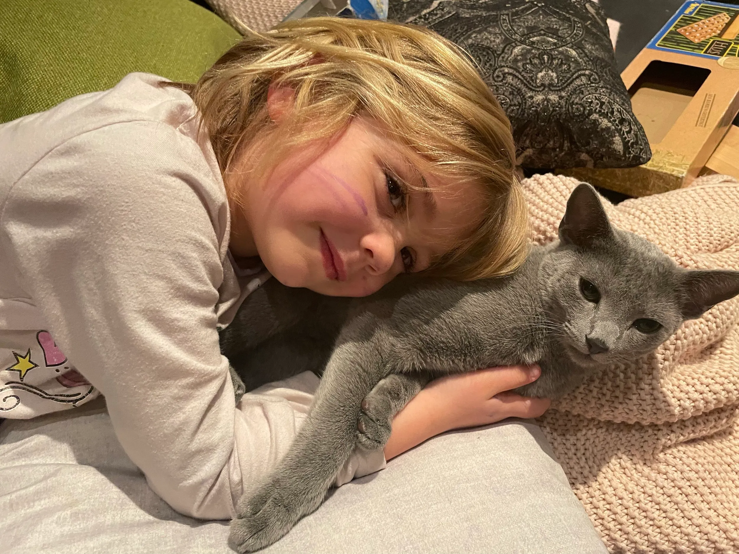 Kind kuschelt mit Russisch Blau Katze